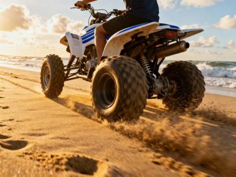 Sand Tracks